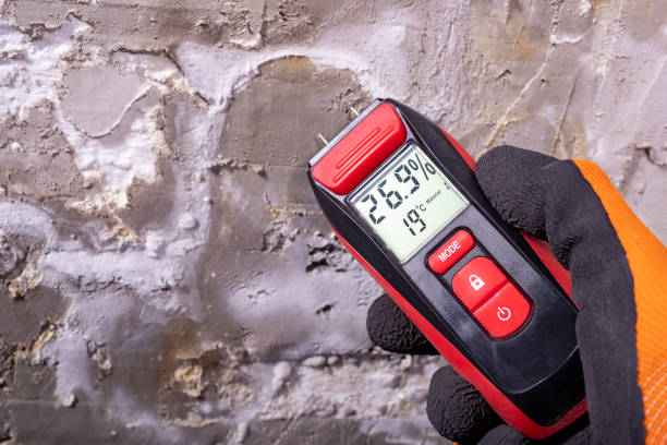 Best Residential Mold Removal  in Ashland, IL