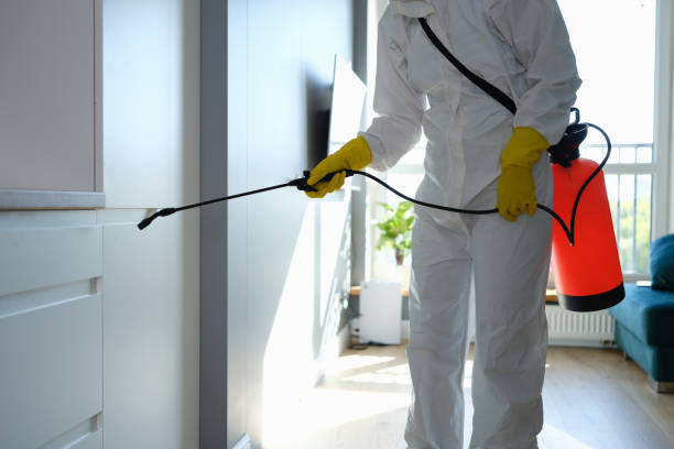 Best Mold Testing  in Ashland, IL