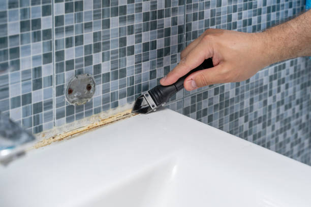 Best Mold Removal Near Me  in Ashland, IL